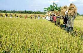 EU, WB support modernization of SL’s agri sector