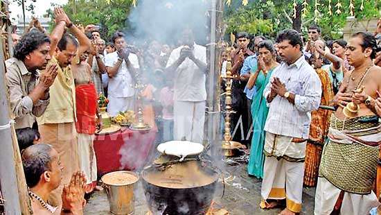 Thai Pongal:  Thanksgiving festival of Tamil farmers