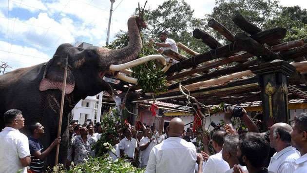 Athupandalama ritual at Kataragama Temple