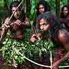 Genetic link between Lankan tribe and Indians