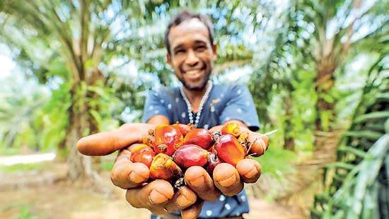 Webinar hosted to discuss role of plantation industry to strengthen Lankan economy