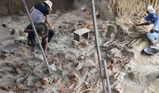 Magistrate orders to suspend Mannar mass grave excavations