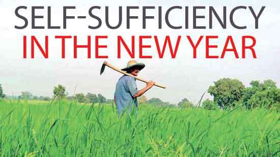 Self-Sufficiency in the New Year