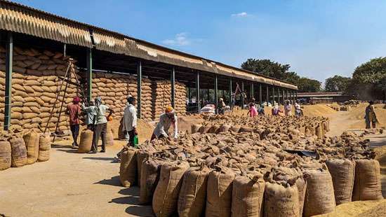 India relaxes conditions for rice exports to some European countries