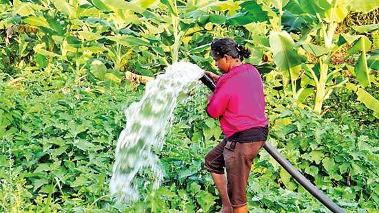 A courageous woman’s struggle for survival