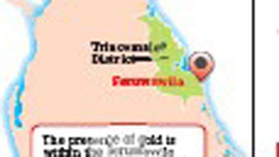 Gold deposits found in Seruwawila: GSMB