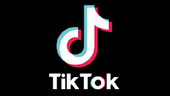 TikTok shares election integrity measures ahead of presidential election