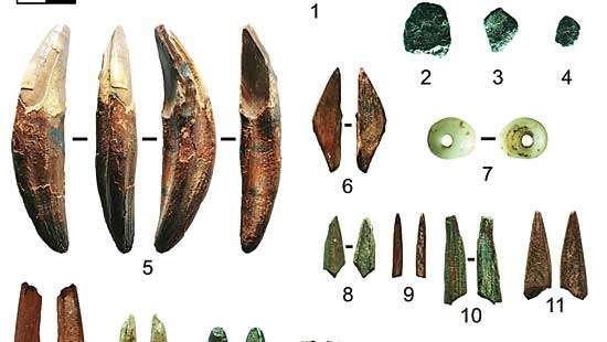 How modern humans adapted to Sri Lanka’s rainforests in pre-historic era