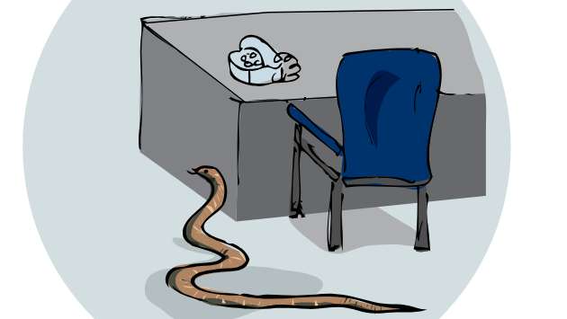 A snake causes commotion in Speaker’s office