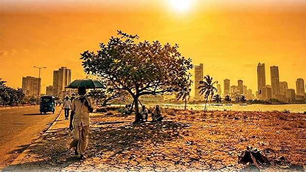 Dry spell hits some parts of Sri Lanka, water level drops in major tanks - Breaking News