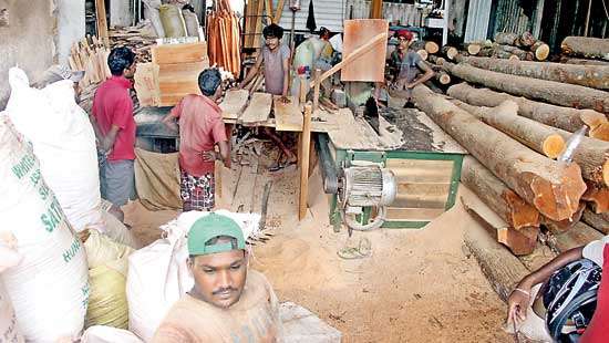 Carpentry industry goes into  panic mode