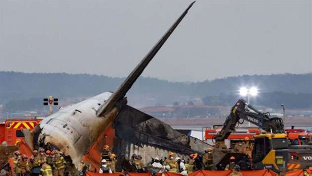 South Korea orders airports to install bird detection cameras