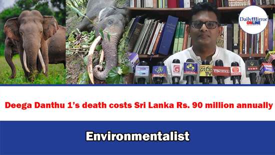 Deega Danthu 1’s death costs Sri Lanka Rs. 90 million annually: Environmentalist