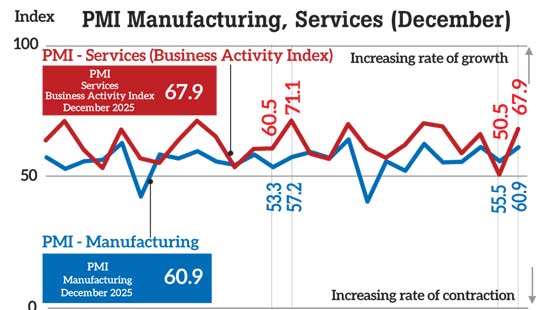 Domestic demand resilient despite logistical strains: PMI Data