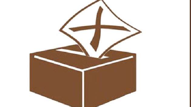 LG polls to be held on May 6