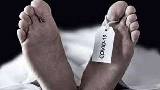 7 COVID-19 deaths reported