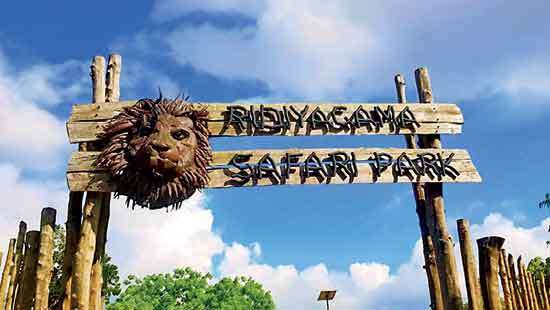 Ridiyagama, Pinnawala zoos in want of animals