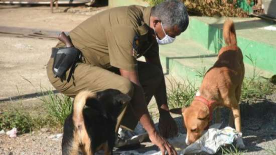 How everyday Sri Lankans are helping fight Covid-19