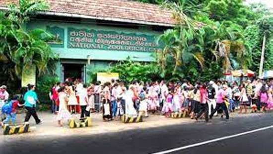 Zoological Gardens Dept. receives record income during long weekend