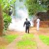 Special islandwide dengue control programme as cases rise