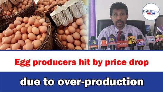 Egg producers hit by price drop due to over-production