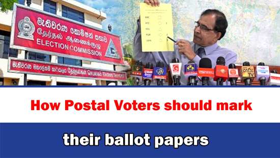 How Postal Voters should mark their ballot papers