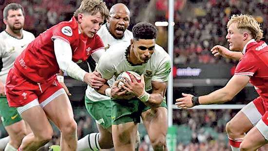 Pointless Wales humiliated by 11-try South Africa