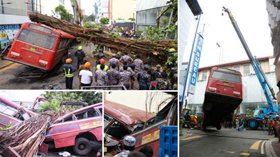 Tree falls on moving bus