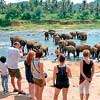 Tourism earnings strengthen further despite March low levels