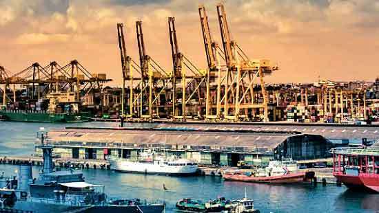 Export economy and Madrid protocol?