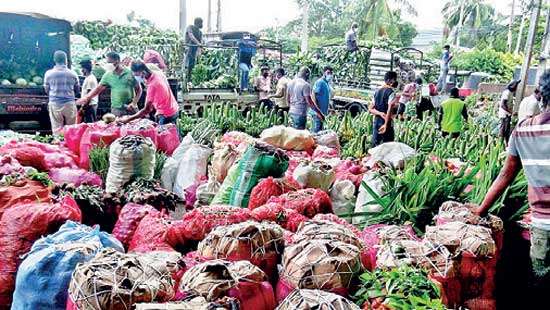 Drop in vegetable prices at Dambulla