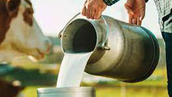Local milk production rises again: Minister