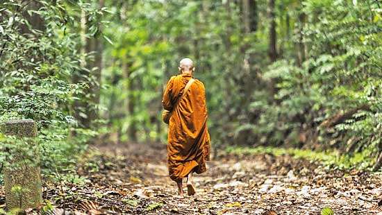 Incidents of violence against Buddhist monks: When commercialism clouds the meditative mind