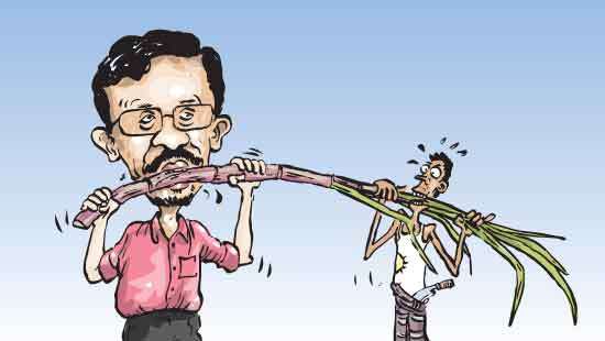 Sri Lanka’s sugar paradox