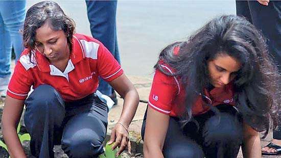 LB Finance marks World Environment Day with coastal conservation programme