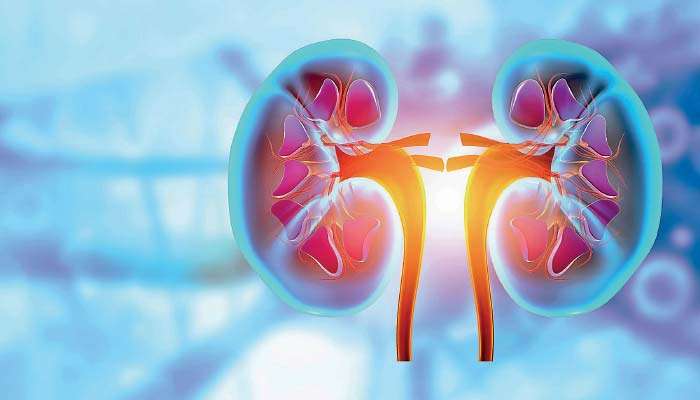 5,000 kidney patients stuck in surgery queue