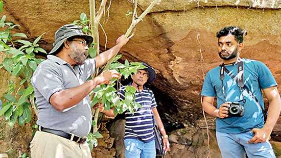 A Scholar’s Paradise: 7 Days in Sigiriya with Prof. Raj Somadeva