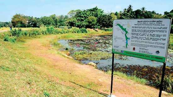 Proposed New Kelani Bridge – Athurugiriya elevated expressway CA rules out preliminary objections from state authorities