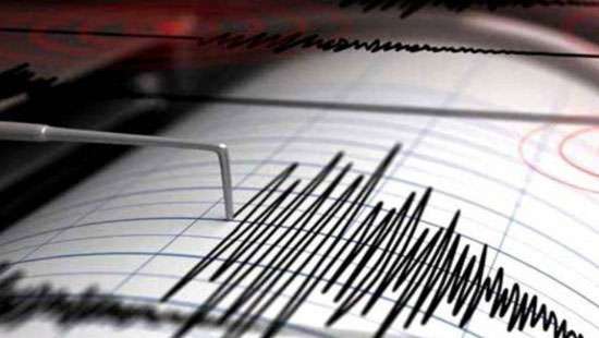 Earthquake off the north-eastern coast: No tsunami threat: DMC
