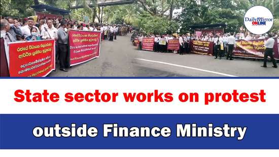 State sector works on protest outside Finance Ministry