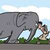 Cabinet approves new National Action Plan to address human-elephant conflict