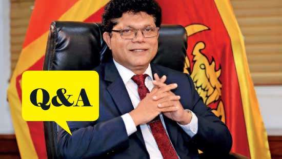 High human and elephant densities leave little room to resolve conflict - Environment Minister