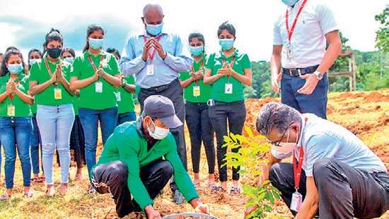 Brandix breathes life to World Environment Day with reforestation in Rambukkana