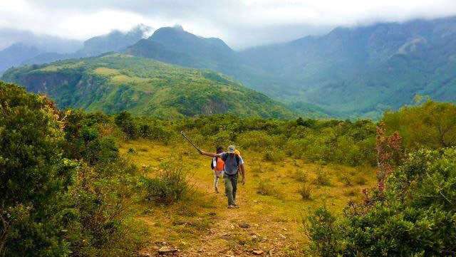 Entry into forest reservations, climbing, camping on mountains strictly prohibited