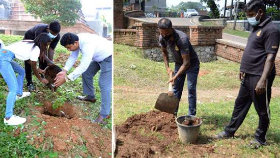 Breathe Org. plant trees with Hilton