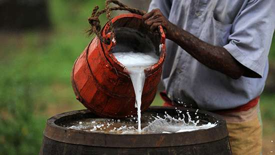 Will take necessary steps to take local toddy to int’l market: Siyambalapitiya