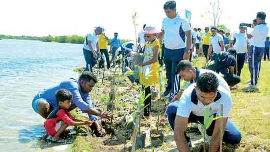 Tokyo Cement marks World Environment Day planting mangrove saplings along coastline