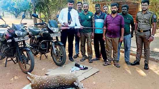 Organised poaching racket in Wilpattu busted with carcass of pregnant deer