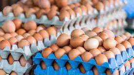 Egg prices to come down by Rs.5 from Monday: Poultry Assn.