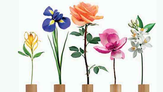 The Body Shop gears up for Mother’s Day